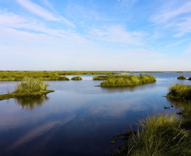 Bayou Sauvage