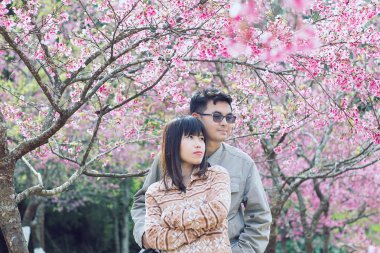 İki sevgili vahşi Himalaya kiraz parkta