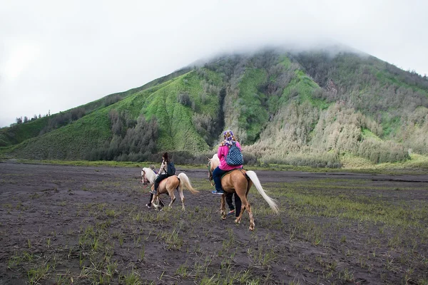 Cavalo e Monte Bromo — Fotografia de Stock