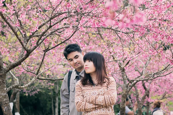 Dois amantes no Wild Himalayan Cherry Park — Fotografia de Stock