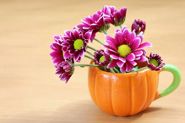 Flowers — Stock Photo, Image