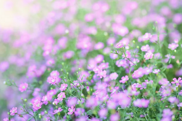 Unklarer Hintergrund — Stockfoto