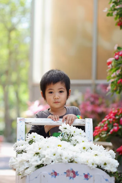 Asian boy — Stock Photo, Image