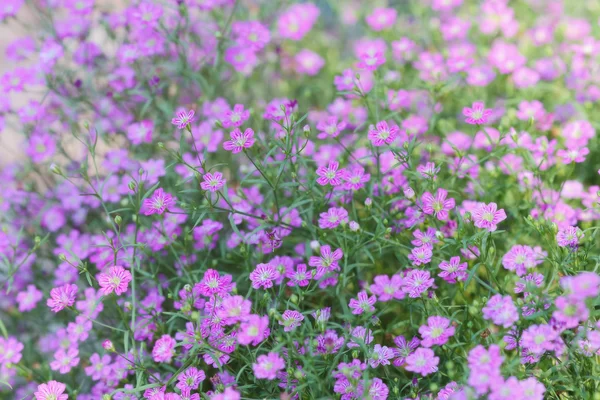 Unklarer Hintergrund — Stockfoto