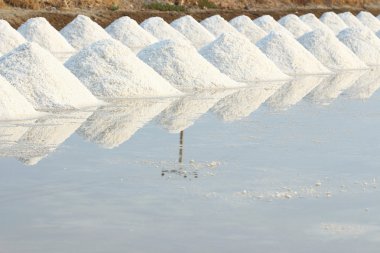 salt farm