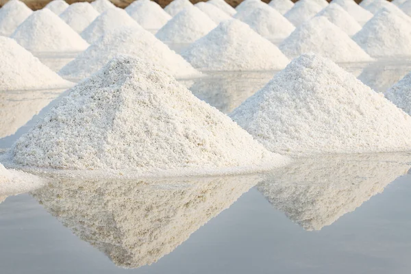 Salt farm — Stockfoto