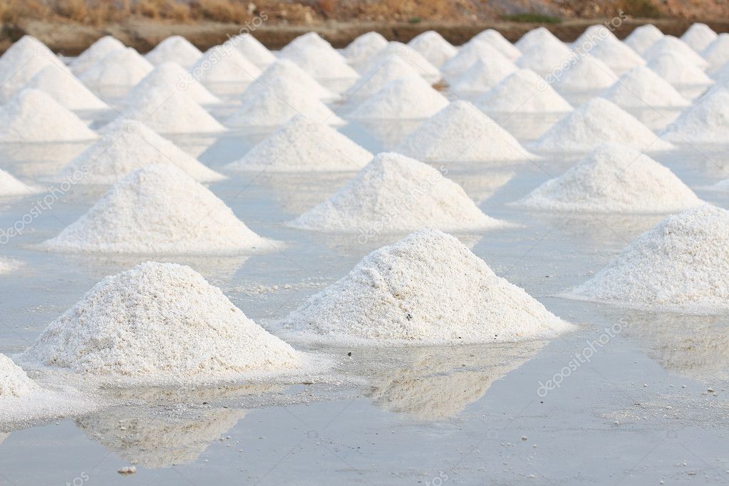 salt farm