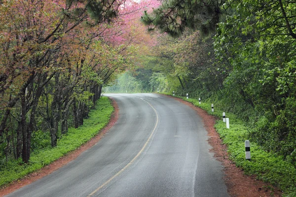 Carretera — Foto de Stock