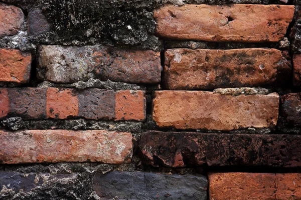 Brick wall — Stock Photo, Image