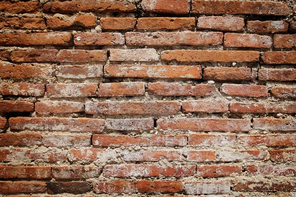 Brick wall — Stock Photo, Image