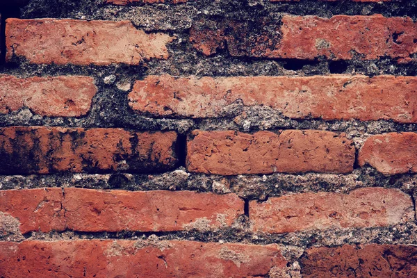 Brick wall — Stock Photo, Image