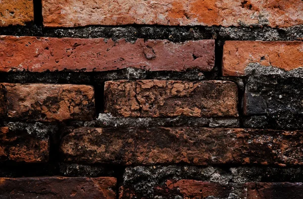 Brick wall — Stock Photo, Image