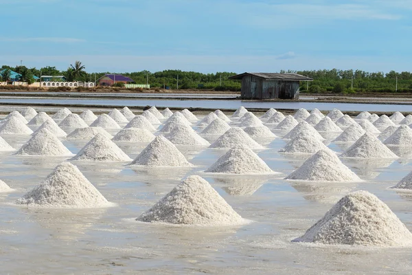 Salt farm — Stockfoto