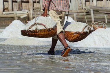 salt farm