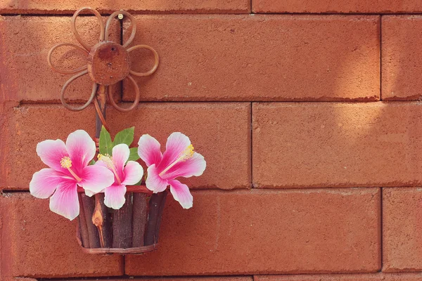 Stillleben Blumen — Stockfoto