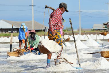 salt farm