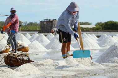salt farm