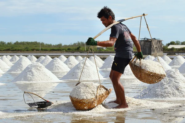 Salt farm — Stock Photo, Image