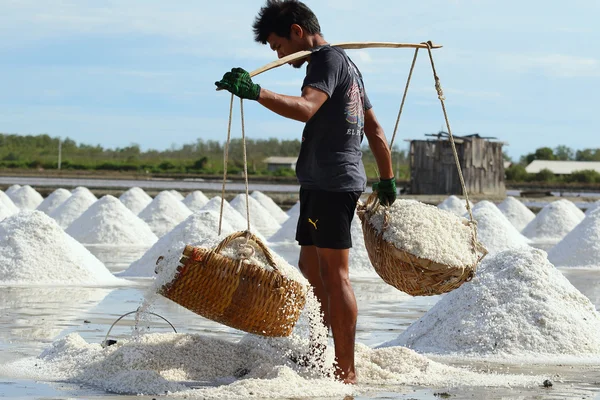 Salt farm — Stockfoto