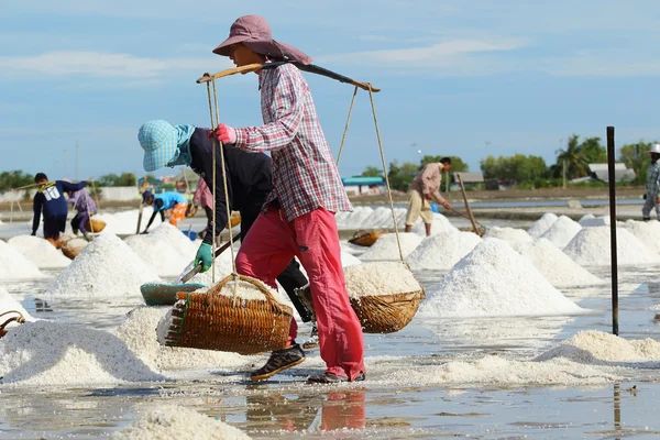 Salt farm — Stockfoto