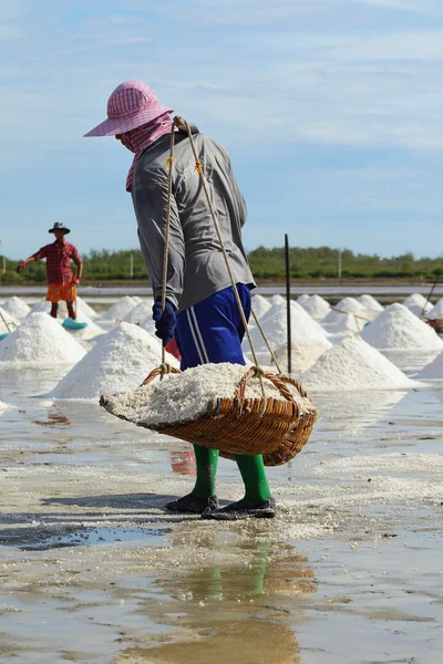 Salt gård — Stockfoto