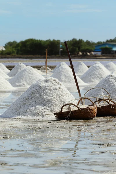 Salt gård — Stockfoto