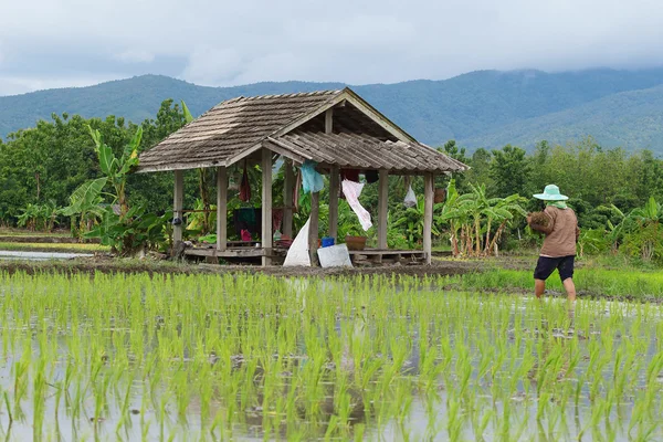 A cabana do agricultor — Fotografia de Stock