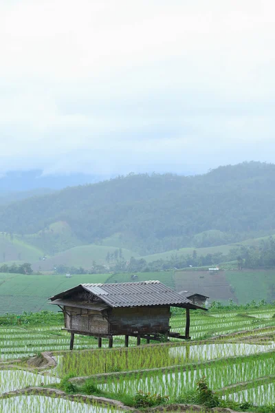 Van de landbouwer hut — Stockfoto
