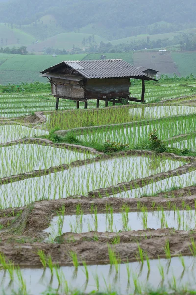 A cabana do agricultor — Fotografia de Stock