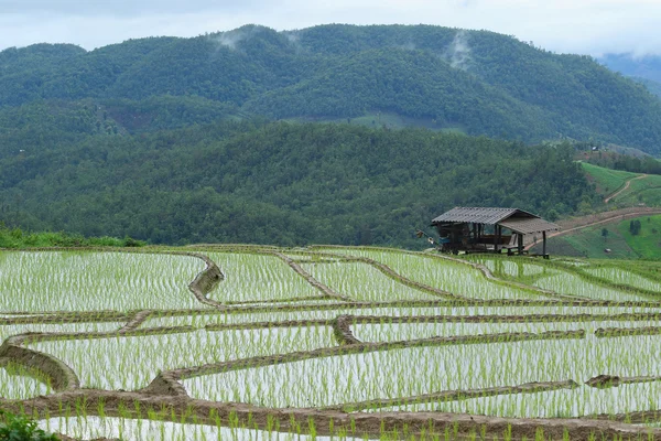 A cabana do agricultor — Fotografia de Stock