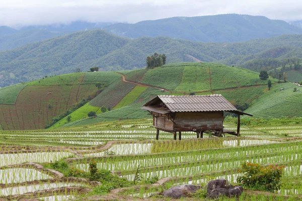 The farmer's hut — Stock Photo, Image