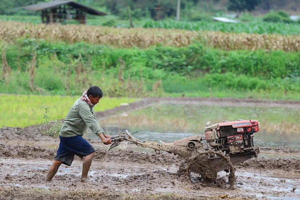 Agriculteurs — Photo