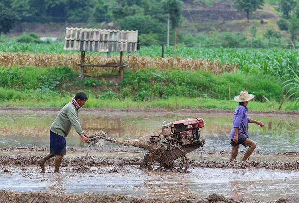 Agriculteurs — Photo