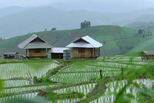 A cabana do agricultor — Fotografia de Stock