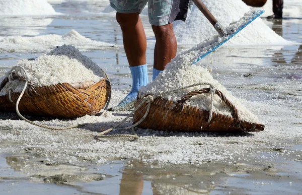 Salt farm — Stockfoto