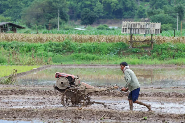 Agriculteurs — Photo