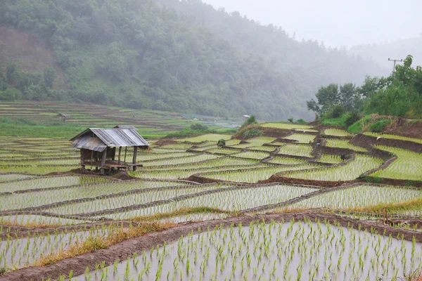 农民的小屋 — 图库照片