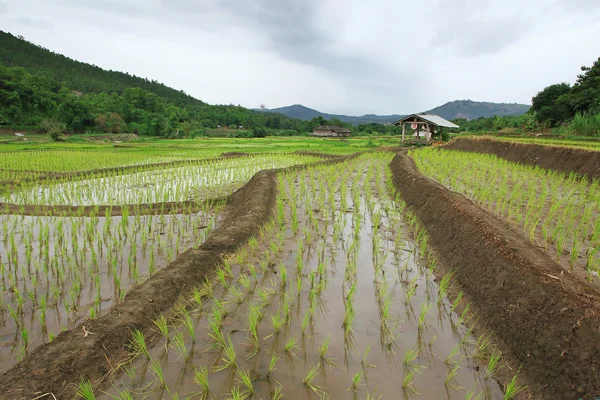 农民的小屋 — 图库照片