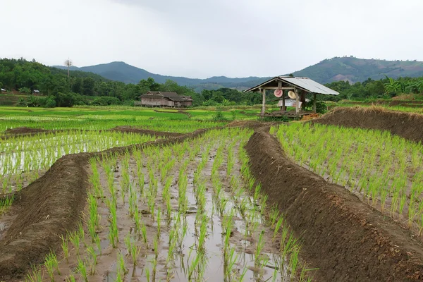 A cabana do agricultor — Fotografia de Stock