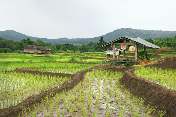 Van de landbouwer hut — Stockfoto