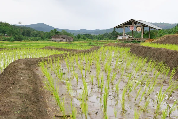 农民的小屋 — 图库照片