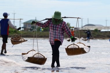 salt farm