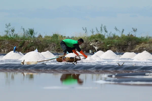 Salt farming — Stock Photo, Image