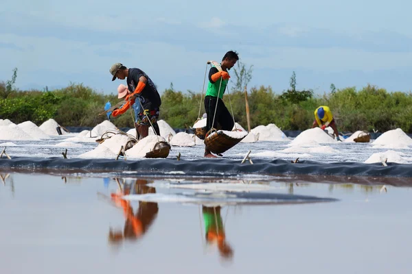 Salt farming — Stock Photo, Image