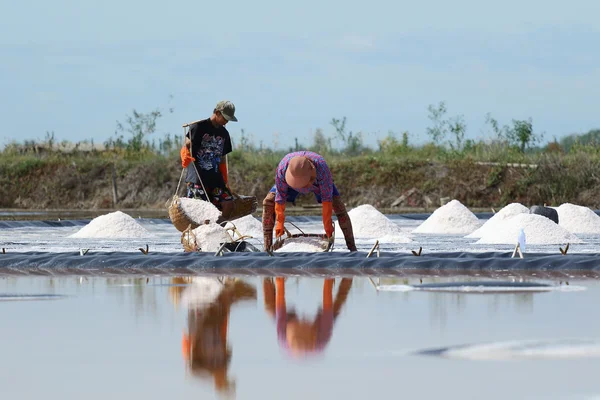 Salt jordbruk — Stockfoto