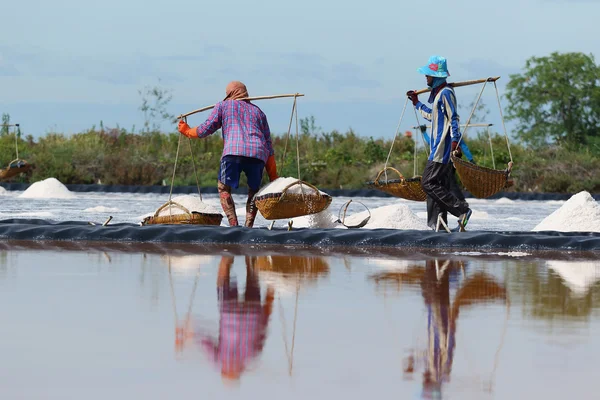 Cría de sal — Foto de Stock