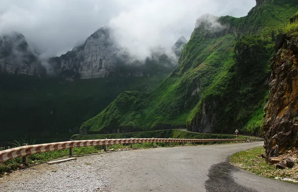 公路 — 图库照片