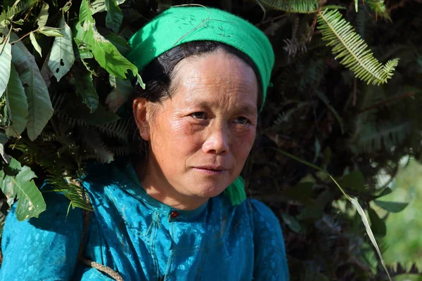Hmong — Stock fotografie