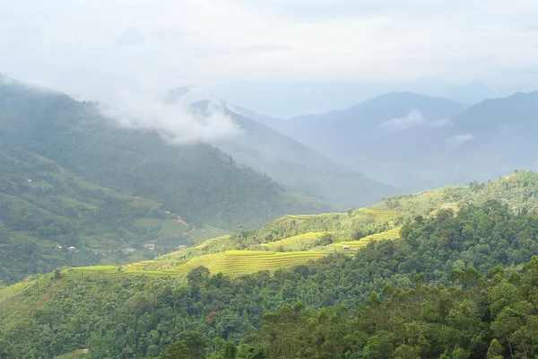 Rice terraces — Stock Photo, Image