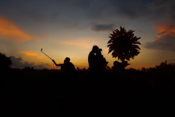 Silhouette des Sonnenuntergangs — Stockfoto